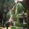 A student studying abroad with Stephen F. Austin State University (SFA): Traveling - Student Teachers in Costa Rica