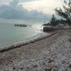 A student studying abroad with SFS: Turks & Caicos - Marine Resource Management Studies
