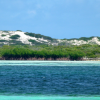 A student studying abroad with SFS: Turks & Caicos - Marine Resource Management Studies
