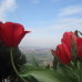 Photo of St. John's University: Rome - Discover Italy