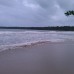 Photo of Stephen F. Austin State University (SFA): Traveling - Student Teachers in Costa Rica