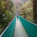 Photo of Stephen F. Austin State University (SFA): Traveling - Student Teachers in Costa Rica