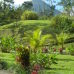 Photo of Stephen F. Austin State University (SFA): Traveling - Student Teachers in Costa Rica