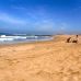 Photo of AMIDEAST: Rabat - Area & Arabic Language Studies