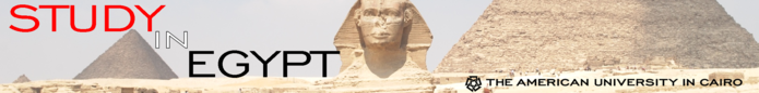 The American University in Cairo: Cairo - Direct Enrollment & Exchange
