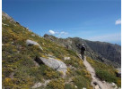 Mont Blanc Classic Walks