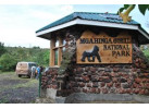 6 Day Gorillas in PNV and Culture in Mgahinga