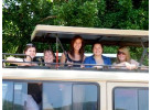 Serengeti: The Ultimate Safari Experience