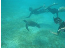 Comfort Galapagos - 6 Days G4 Cruise & Wildlife Adventure in North Islands