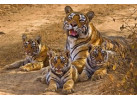 India Nepal Adventure