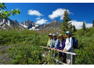 Alaska & Yukon Northern Experience