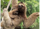 16 Days Costa Rica Adventure