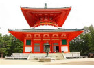 Experience Japan from the Neon Lights of Tokyo to Kyoto's Temples
