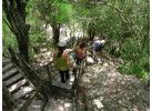 12-Day Cultural & Walking Adventure in Guatemala