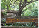 Nicaragua Family Vacation