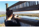 Search out and photograph diverse wildlife in Tarangire Safari Experience