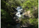 Bibbulmun Track