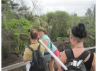 Ecuador's Galapagos Islands (Ecological wonderlands of the Galapagos Islands) - Tour Length: 8 Days