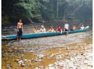 Borneo - Into the Heart of the Rainforest