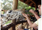 Tanzanian Culture and Wildlife Adventure