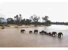 The Hemingway Wing Safari: 14 Days Exploring the Old Africa in Style
