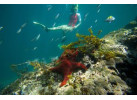 Galápagos Islands Sailing and Multi-Sport Adventure
