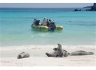 Galápagos Islands Sailing and Multi-Sport Adventure