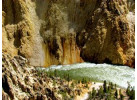 Wyoming Family | Yellowstone/Teton