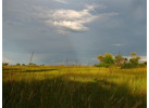 Explore the Landscapes and Wildlife of Botswana Elephant Trail