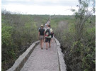 Ecuador's Galapagos Islands (Ecological wonderlands of the Galapagos Islands) - Tour Length: 8 Days