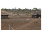 Southern African Circuit: 32-Day Cultural & Wildlife Adventure