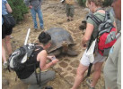 Ecuador's Galapagos Islands (Ecological wonderlands of the Galapagos Islands) - Tour Length: 8 Days