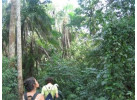 32-Day Wildlife & Cultural Experience in Rwanda, Uganda, Kenya & Tanzania