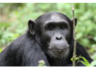 African Culture And Wildlife Viewing on Addis to Zanzibar Adventure