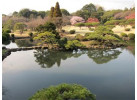 Experience Japan from the Neon Lights of Tokyo to Kyoto's Temples