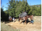 Pedal and Paddle in Patagonia 