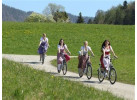 Self-Guided Biking in Austria, The Lakes Region for 11 Days