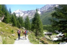 Bernese Oberland Haute Route - East 