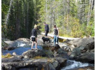 Wyoming Family | Yellowstone/Teton