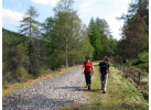 Self-Guided Walking: The Speyside Way