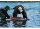 Executive Fishing and Wildlife Safari