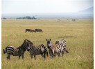 Kenya's 6 Day Overland Adventure and Track The 'Big 5'