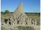 Southern African Circuit: 32-Day Cultural & Wildlife Adventure