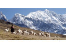 South America: 21-Day Andean Discovery