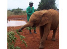 Grand Safari - 15 Day Tour