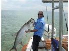 Best of Costa Rica 