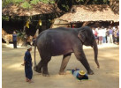 16-Day Cultural & Historical Adventure in Thailand & Laos