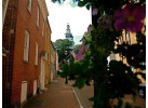 Explore the Heart of Annapolis