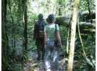 Discover the Cultural Heritage of Uganda, Rwanda & Kenya in this 19-Day Wildlife Adventure