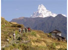 Annapurna Community Lodge Trek